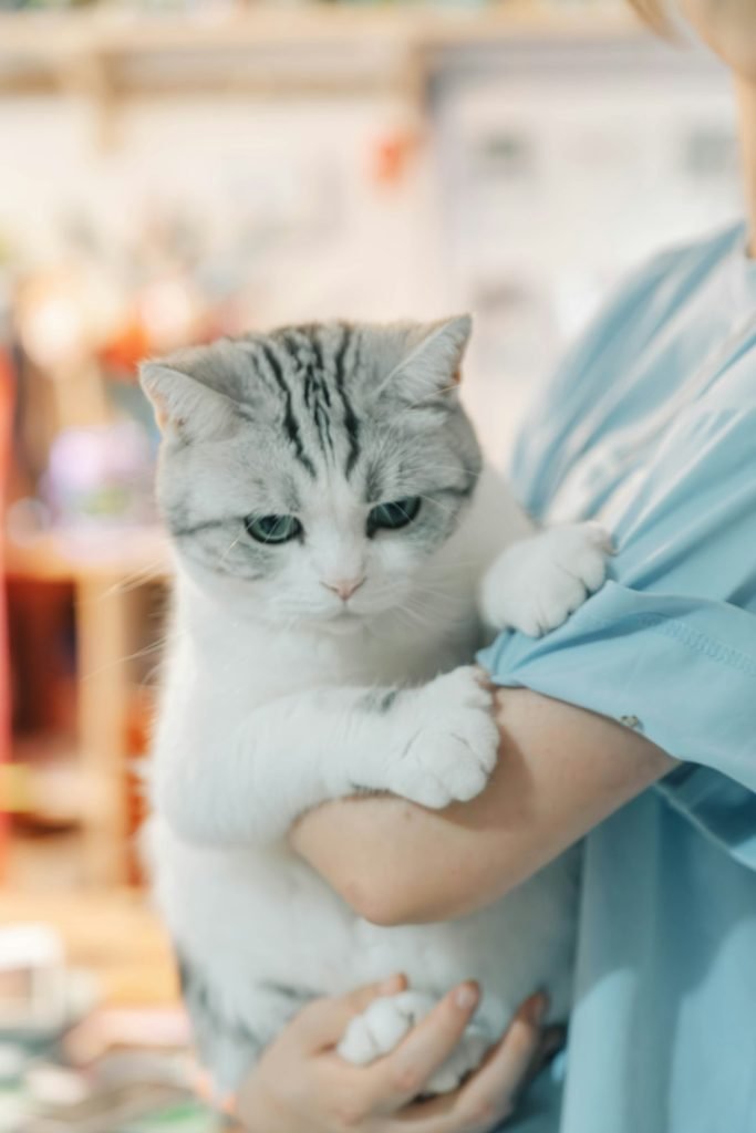 a-woman-holding-a-cat-in-her-arms-pang0-d9qpq